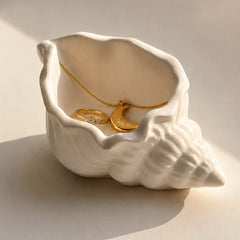 Empty Seashell